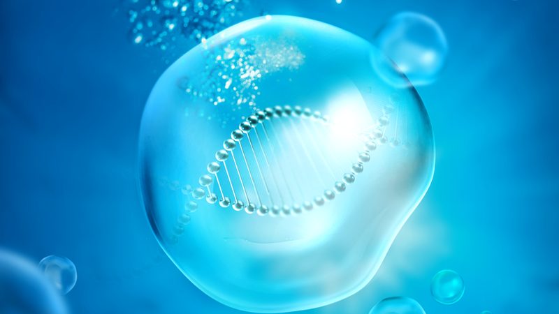 酶含量测定方法分类解析：探索精准测定的奥秘**