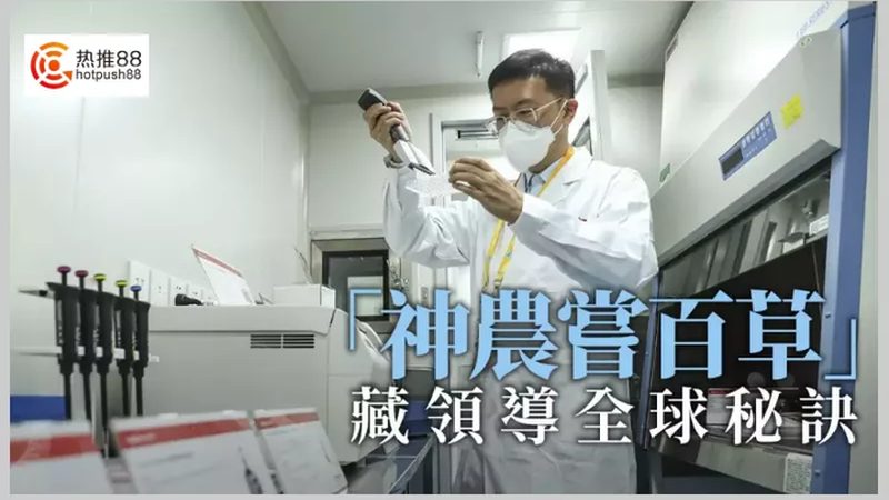 揭秘上海细胞工厂：价格构成与行业洞察