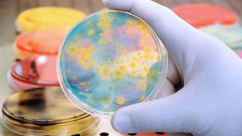CDMO服务流程：揭秘药物研发的“加速器