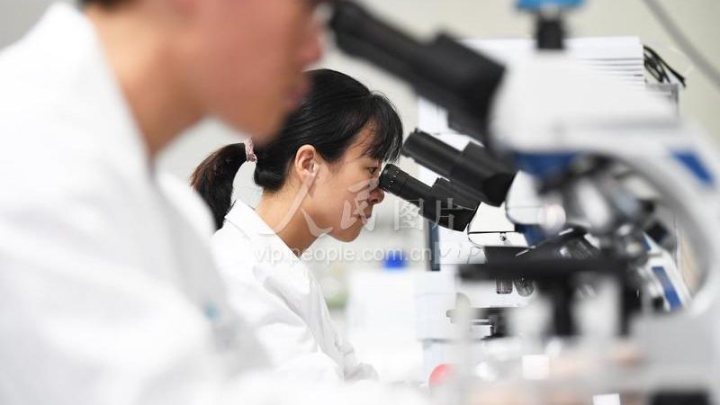生物科技企业标准体系构建：从合规到卓越