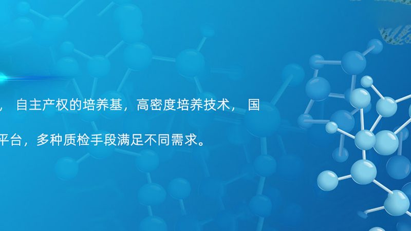 在评估报价时，要关注以下细节：