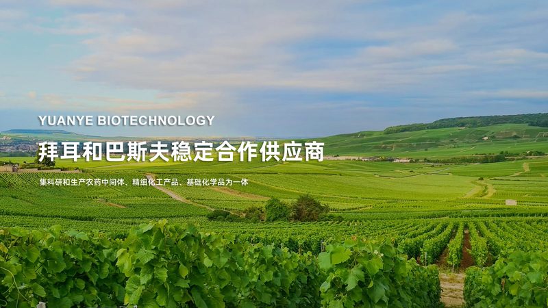 临床试验数据管理：CRo如何高效保障数据质量