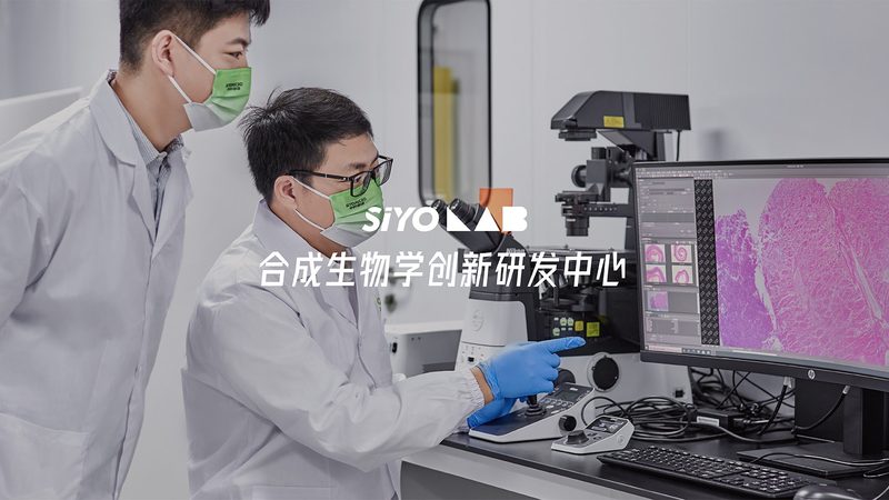 CDMO公司崛起：揭秘医药研发背后的力量