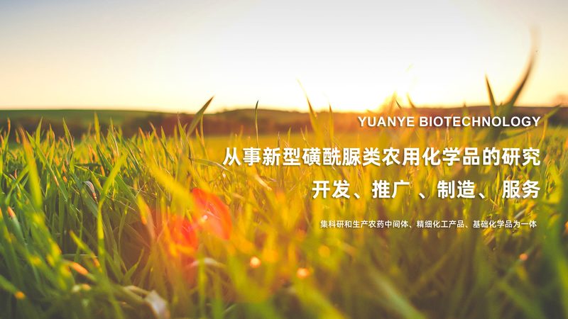 生物科技公司批发价格谈判，如何精准把握？**