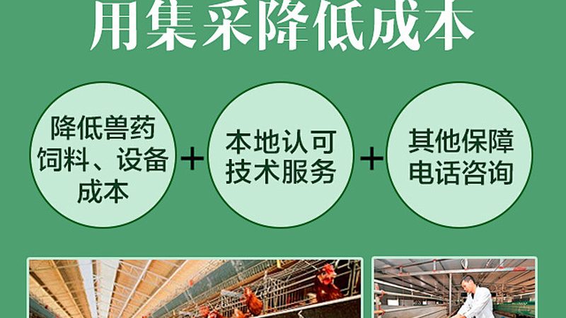 PCR检测代理合同模板：构建合作基石的必备要素