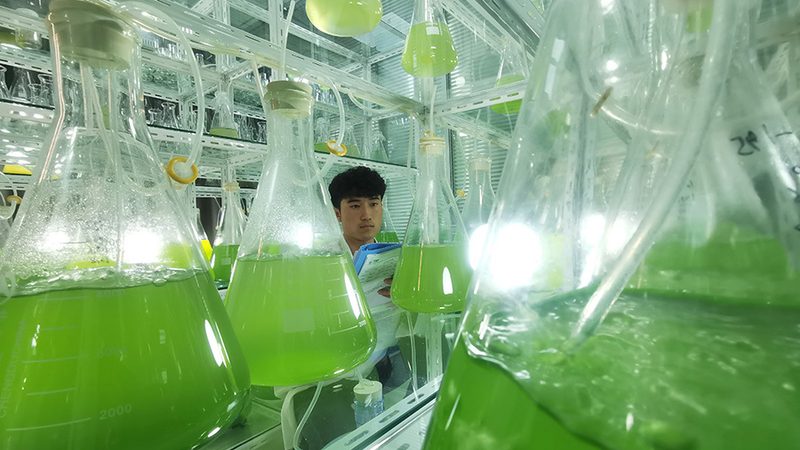 实验室耗材定制：如何选择合适的厂家